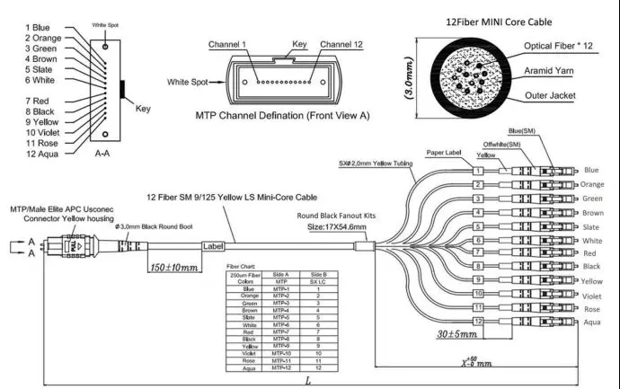 12 σκοινί μπαλωμάτων ινών MTP σκοινιού MTP MPO 24 μπαλωμάτων ξεμπλοκαρίσματος mpo-SC/APC πυρήνων