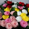 5-6cm Preserved Rose With 20cm Long Stem Cheap Wholesale from China