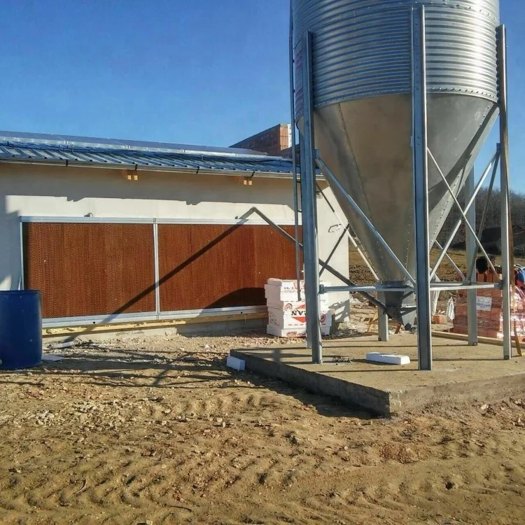 feeding drinking  .jpg