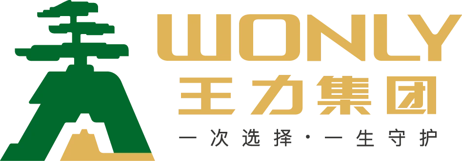 carved design high quality luxury double entry vil