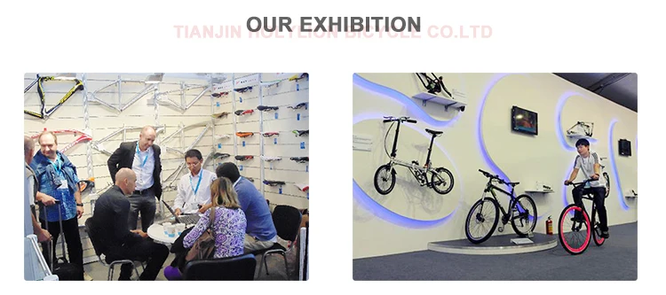Tianjin Factory Supplies Dutch Bicycle Holland Bike for Cheap City Cycle