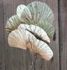 Dried Natural Lotus Leaf with wire iron stem
