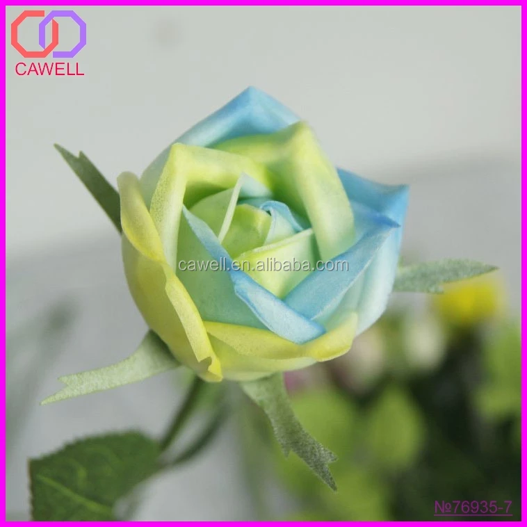 Long Stem Single Black Rainbow Roses With Leaves Buy Rainbow Roses