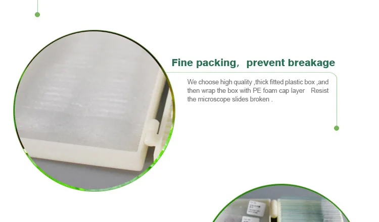 007 Microorganism cells prepared microscope slides.jpg