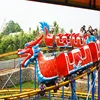 Cheap roller coaster kids swing rides amusement rides equipment dragon coaster roller