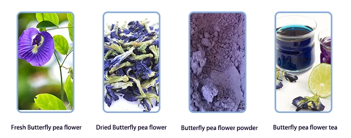 butterfly pea flower product form
