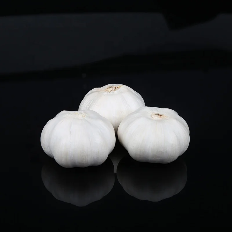 
Fresh normal white garlic price in china 