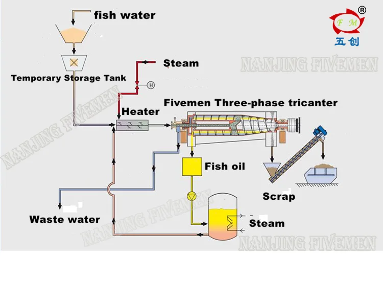 fish oil_process