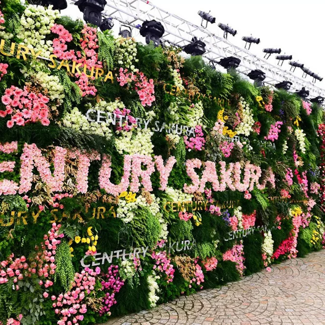 活动照片花墙樱花婚礼花背景 - buy 樱花背景,花墙樱花,婚礼背景设计