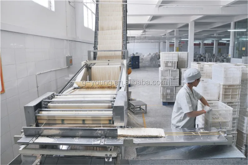 Fast Cook Food Additive Sodium Benzoate Home Noodle / Mixer Flour Fresh Buckwheat Industrial Pasta Processing Machine For Sale