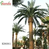 Top selling wholesale eco-friendly large artificial palm tree
