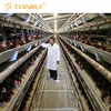 Design Automatic Poultry Farm Battery Chicken Cage for Layer/hen/Egg Chicken