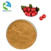 Factory Supply Natural Hawthorn Berry Fruit Leaf Extract
