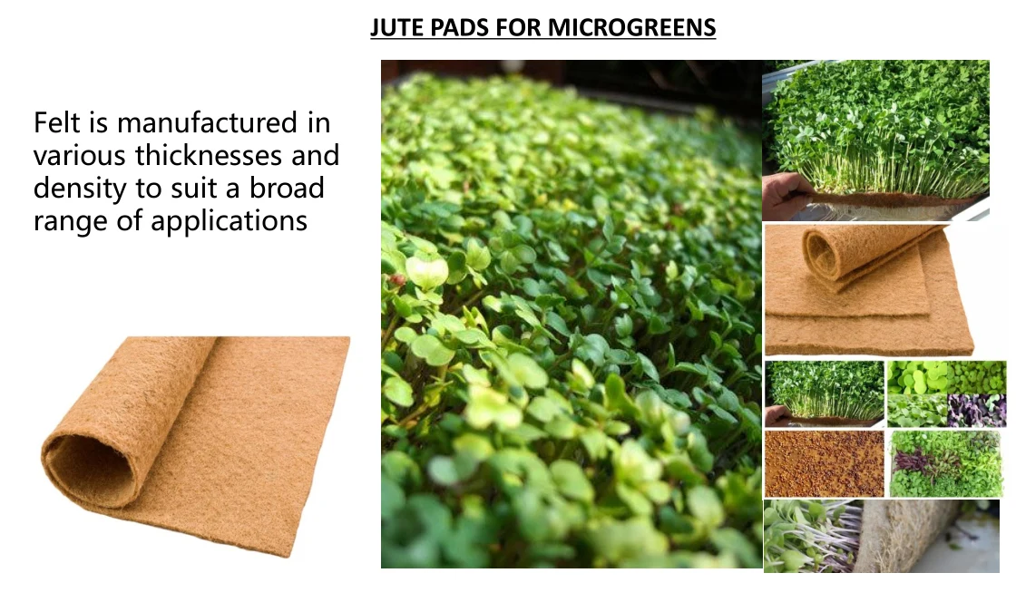 10 Pack Jute Micro Green Seed Pads Buy Hydroponic Padhemp Grow Mat For Microgreenseed 7678