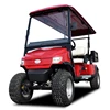 Custom Professional golf cart bodies