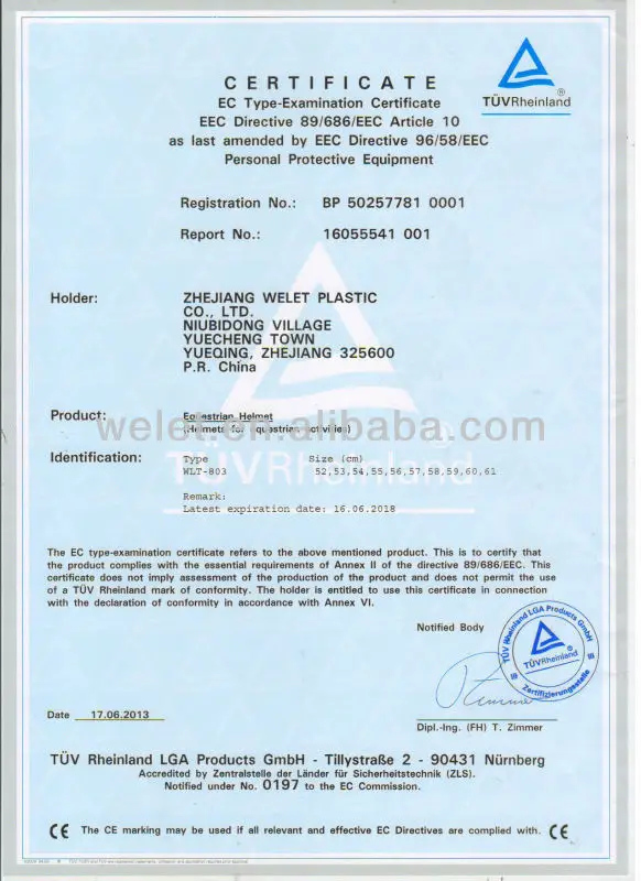 803CE EN1384 CERTIFICATION.jpg