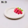 Biodegradable Compostable Disposable Compostable Sugarcane 6 7 9 10 11 inch Plate Tableware