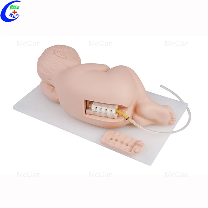 Infant Lumbar Puncture Model
