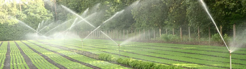 автополив растений в саду. водяное орошение. Sprinkler irrigation system. очистка аппаратов воздушного охлаждения. насосная станция metabo hww 3300/25 g 600968000.