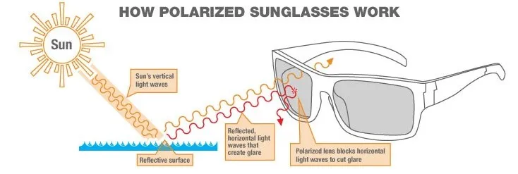 how polarized sunglasses work