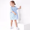 Summer latest fashion girl clothes dress 100%cotton embroider lovely design with smocked dress
