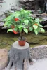 plastic pvc potted fruit tree bonsai orange tree bonsai for gardening