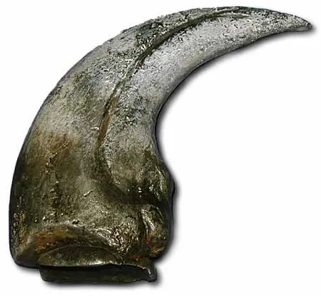 Prehistoric Planet Store - Baryonyx Claw. 