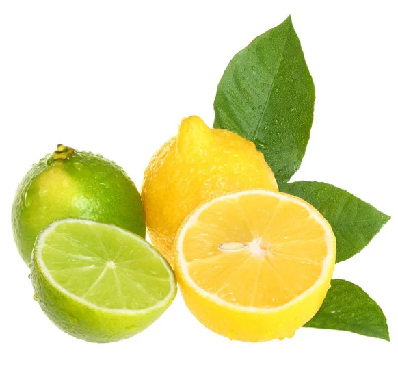 Green Lemon Fruit Extract Powder Limonin Limonoid 98 5 Citric Acid