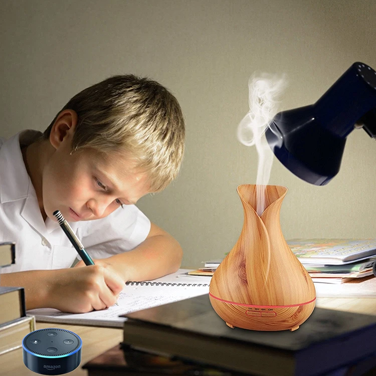 Essential Oil Diffuser.jpg