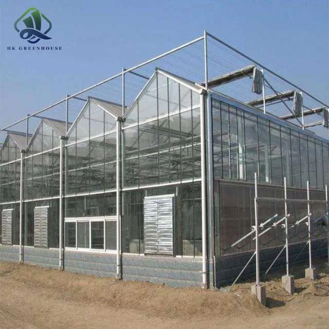 Multispans Glass Agricultural Greenhouse Fiberglass Greenhouse