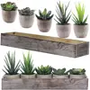 /product-detail/hot-sell-succulent-cactus-aloe-potted-plant-arrangements-decorative-assorted-potted-artificial-succulents-plants-in-gray-pots-60864061633.html