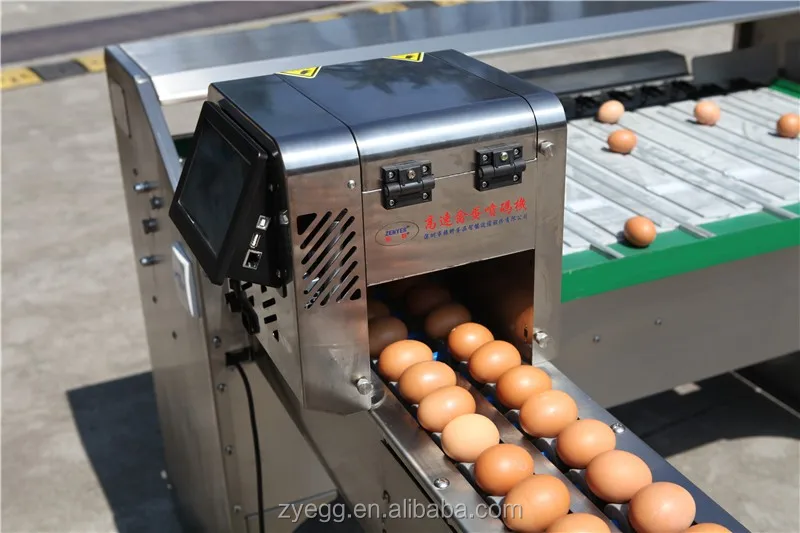 сортировщик яиц. автоматизированной сортировка яиц. сортировщик яиц. сортировщик яиц. Elektronika aparat для сортировки яиц.