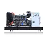 Easy Installation Durability 250Kva Generator