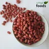 Wholesale Four Red Skin Peanut Kernels Market Price