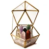 Wholesale Natural Crystal Wand Gift Glass Box Seven Colors Raw Energy Gemstone Seven Star Array