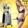 2016 weight loss instruments/criolipolise device/slim freezer weight loss