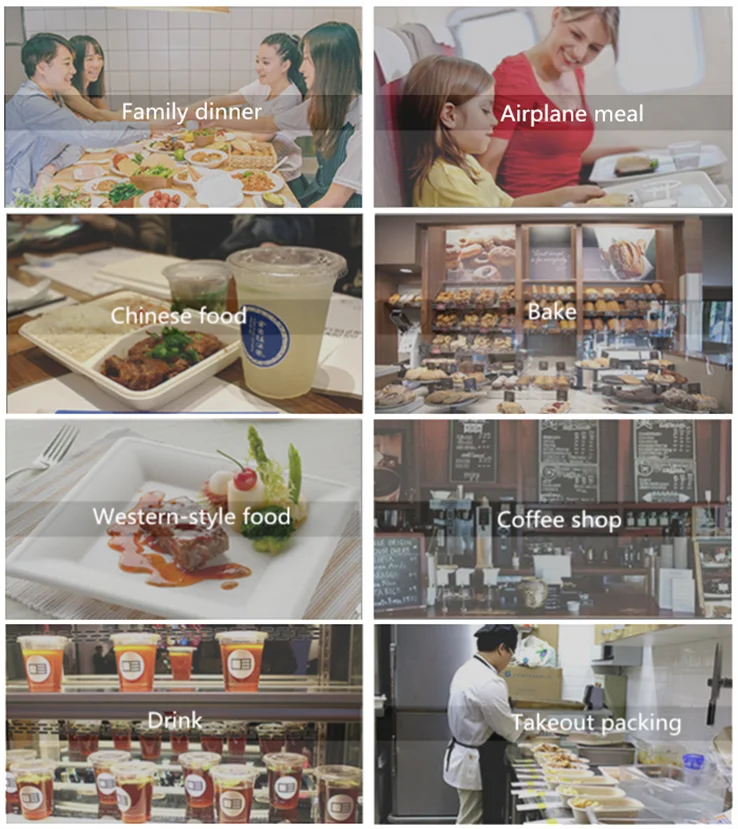 biodegradable lunch box use range