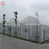 High quality engineering multi span commercial vegetable seeding steel structure