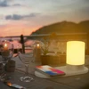 Best Christmas gifts for baby/girl friend Qi Night Light Led Phone Desk Lamp ,Universal Wireless Fast Charger For Mobile Phone