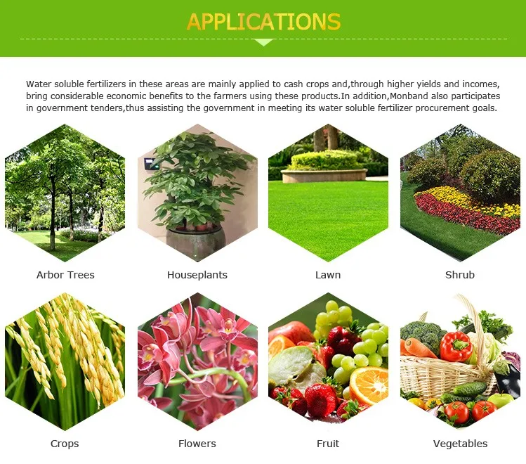 Water Soluble Liquid Humic Acid Foliar Fertilizer