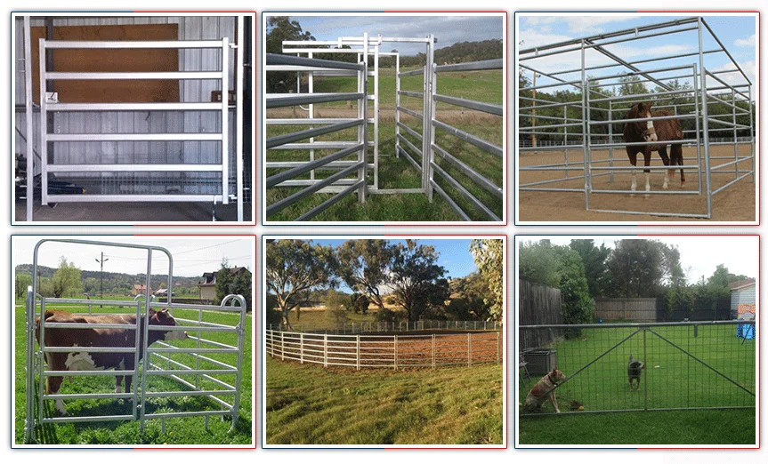 Australia standard Oval Rail Cattle Yard cheap cattle panels for sale.
