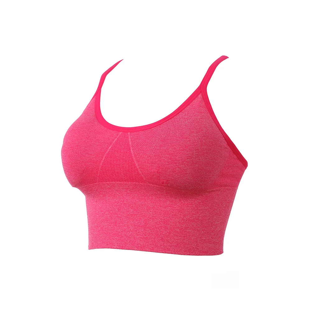 Oem Hot Selling Seamless Women Sports Underwear - Buy Bra For Sport ...