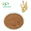 Kosher top quality food grade natural red ginger extract powder gingerol