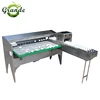 /product-detail/grande-high-efficiency-stainless-steel-egg-grader-printer-egg-classify-machine-for-sale-60777134206.html