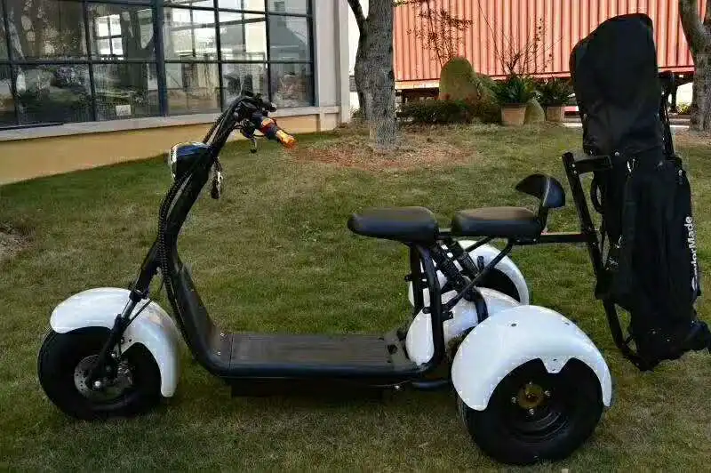 Electric Scooter Trike 1500w China