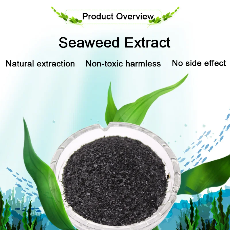 High Dissolution Rate High Concentrated Seaweed Extract Flake Natural Organic Fertilizer for Agriculture