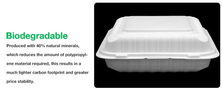 food container3