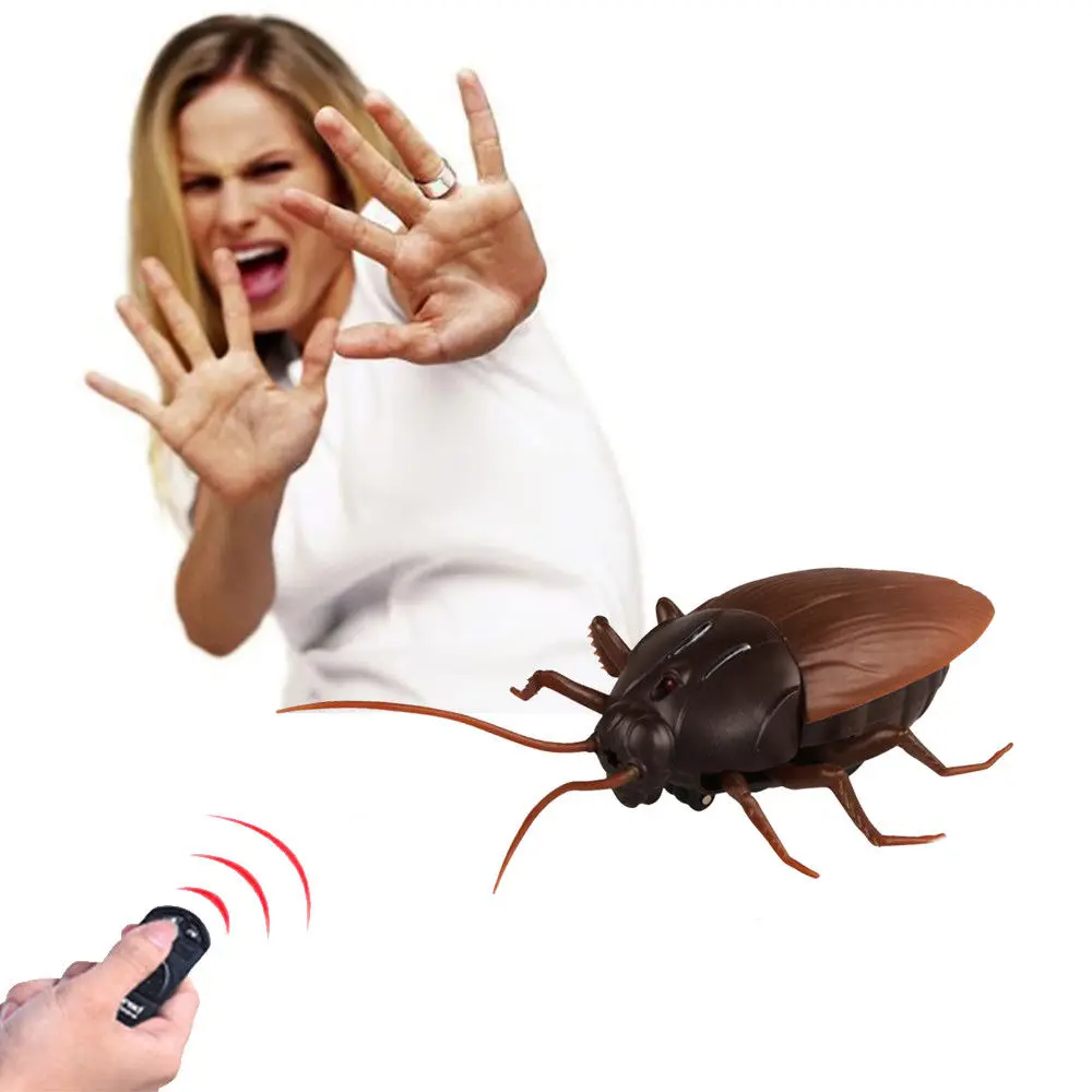 electronic cockroach toy