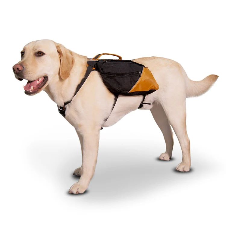 Dog Backpack For Hiking Detachable Pack Instantly Turns Into Harness