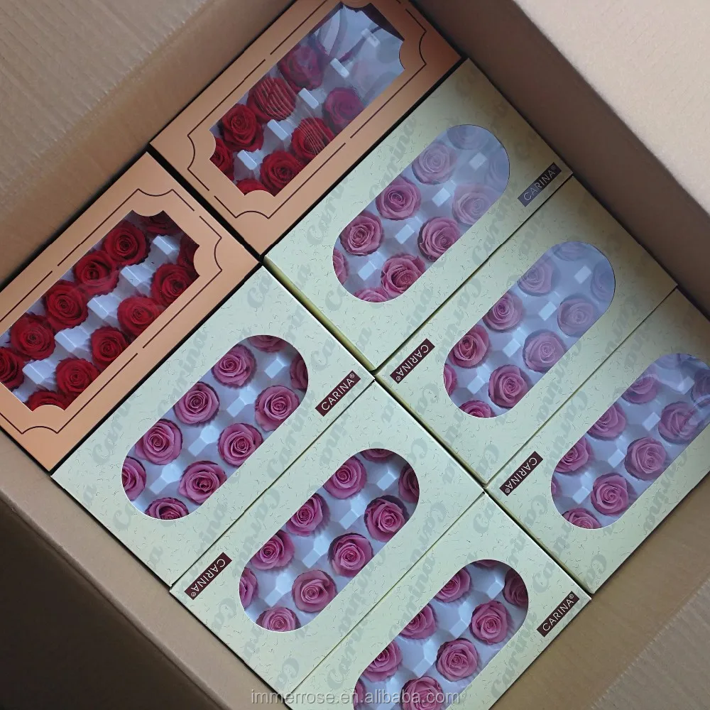 Soft A Grade Immortal Preserved Roses 45 Cm Preserved Forever Rose Buy Preserved Roses